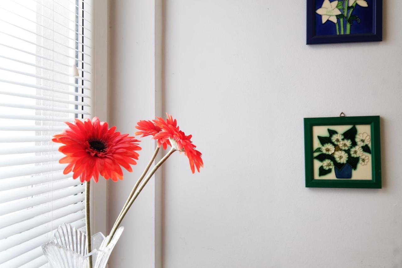 Apartment Paradise Sunny Home Belgrad Zewnętrze zdjęcie